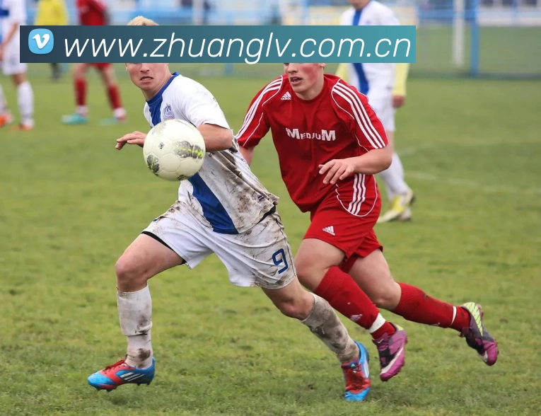 App Interface Preview